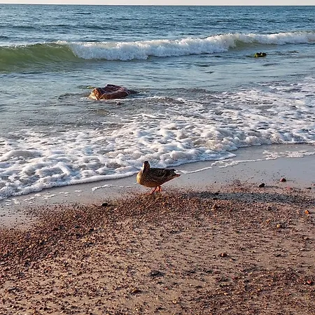 Debina Spot 19 公寓 Debina (Ustka)