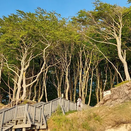 Debina Spot 19 * Debina (Ustka)