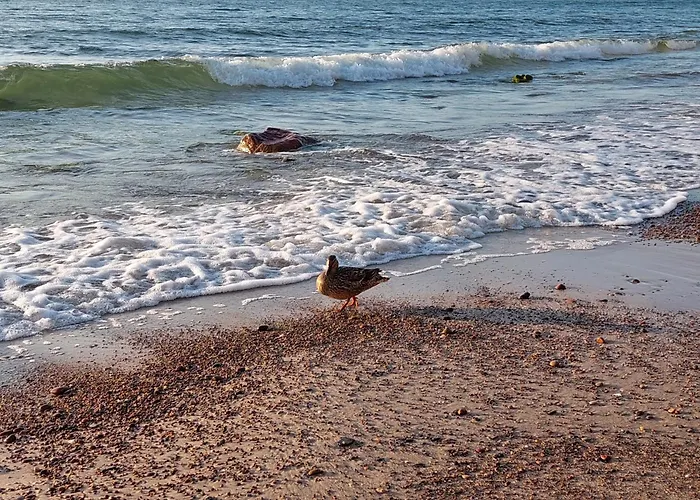 Debina Spot 19 公寓 Debina (Ustka)